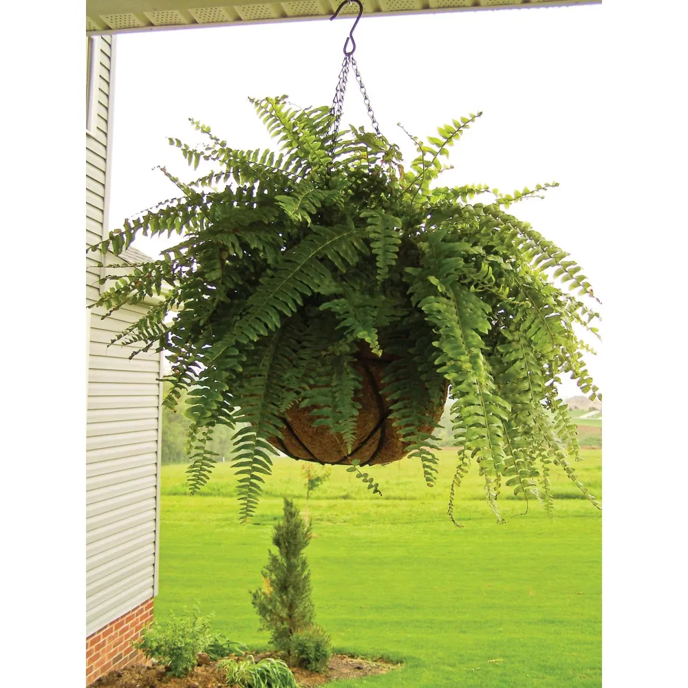 Cesta Colgante con Malla Cesto colgante redondo Ø30 cm