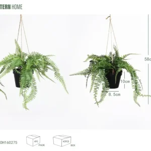 Cesta colgante para planta de horquilla persa, 58 cm, 8 x 10 cm, color verde negro y verde claro. con Patas Elevadoras