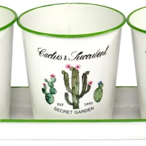 Macetas de acero juego de 3 + bandeja para cactus | Drenaje Mejorado |