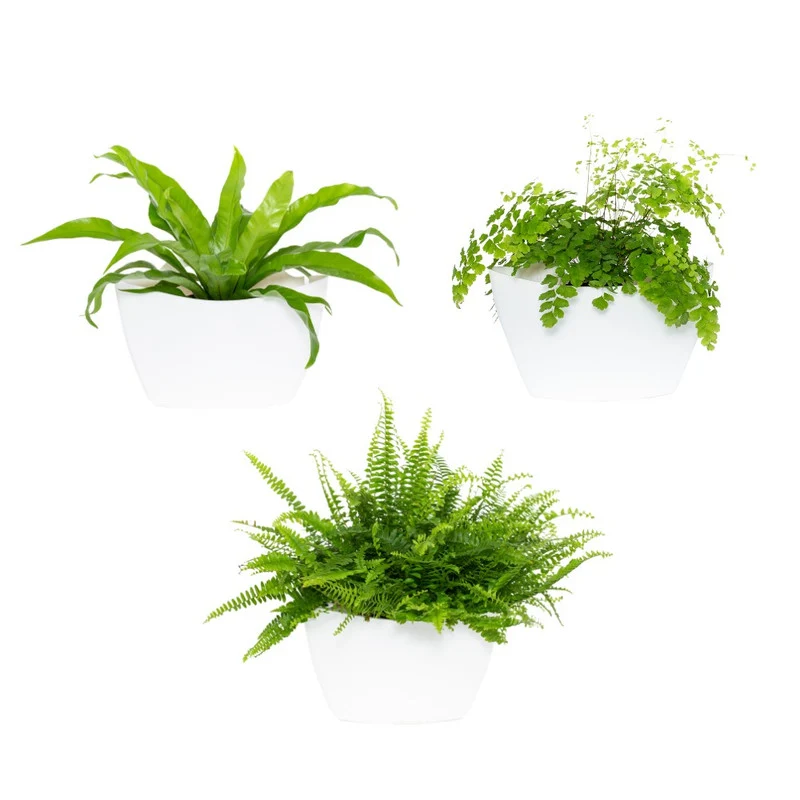 Soporte para Macetas Ajustable Jardín Vertical Personalizable Citysens Con Riego Manual De 3 Macetas – Blanco, Polipropile...
