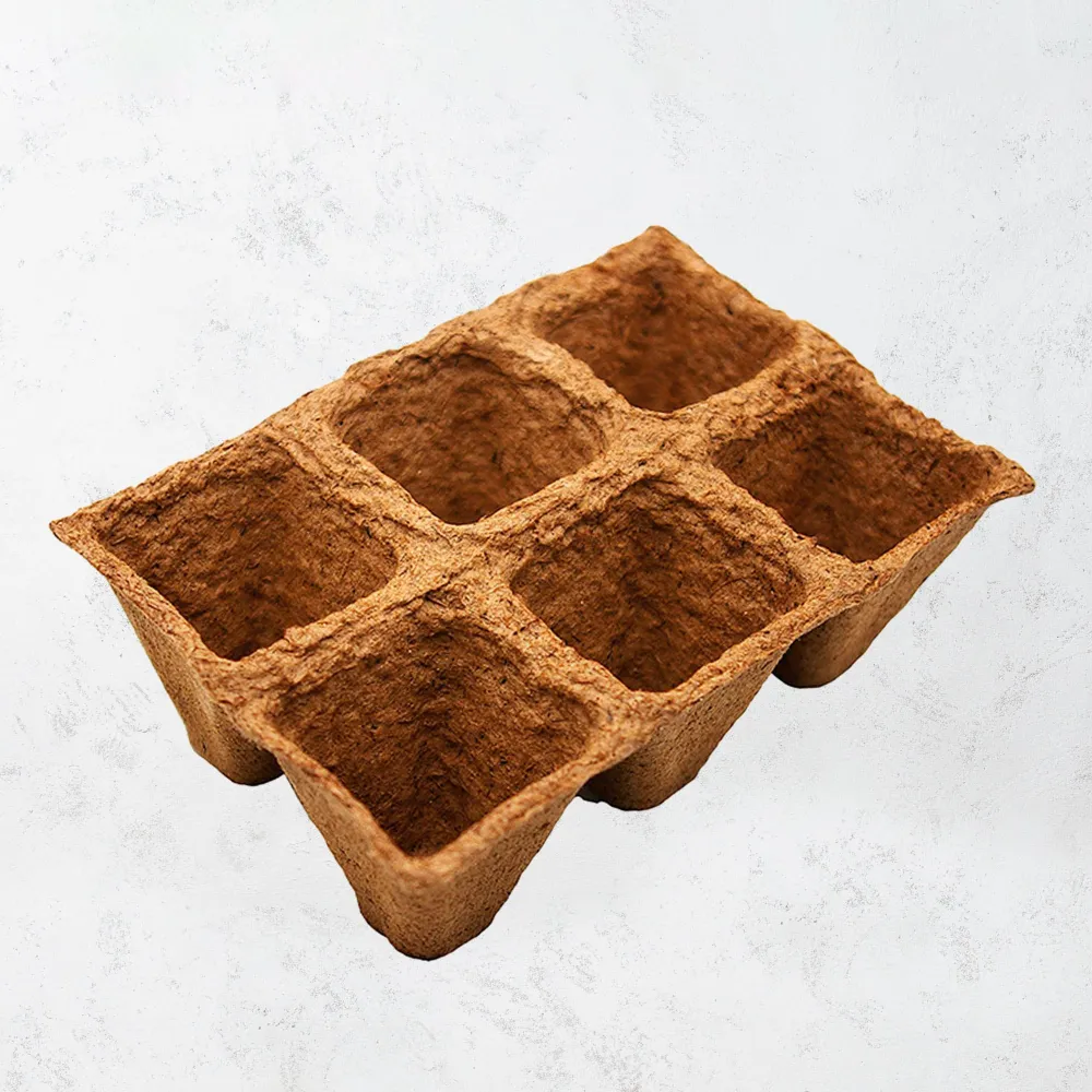 Bandeja maceta turba 5x5cm para Cultivo de Hierbas