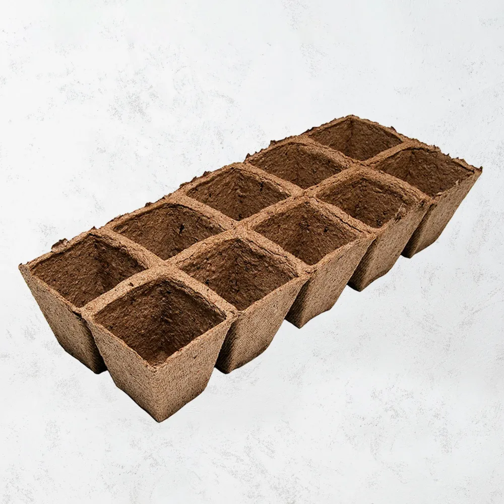 Bandeja maceta turba 6x6cm con Sistema de Autoriego