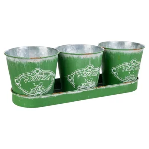 3 Cubos de metálico y Bandeja verdes