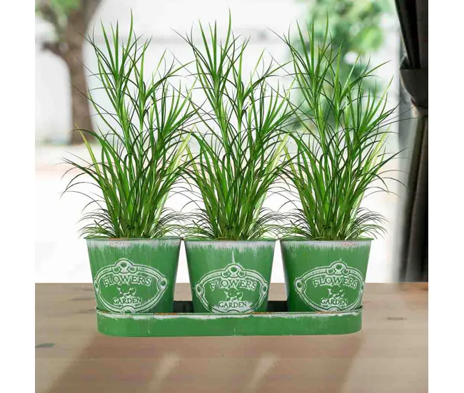 3 Cubos de metálico y Bandeja verdes