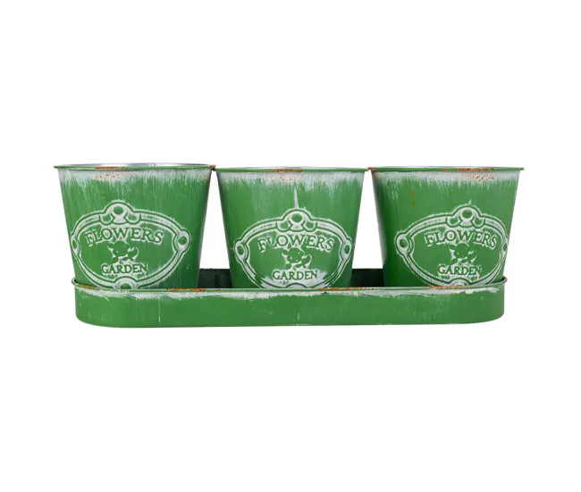 3 Cubos de metálico y Bandeja verdes