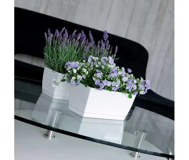 2x Jardinera de plastico Coubi Case P en color blanco 29 alargado x 14,2 (ancho) x 13,6 (altura) cm