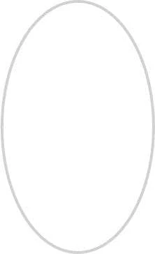 Alta Resistencia UV Dannells Kit de dos anillos de 20cm para lampara ovalados metálicos para tambor
