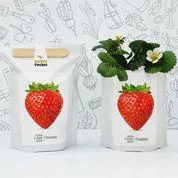 Certificado para Cultivo Interior Kit huerto pocket: Fresones