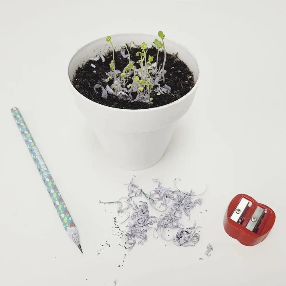 Certificado para Cultivo Interior Lápiz con Semillas Plantables Ecológico, Sostenible y Divertido Garden Pocket