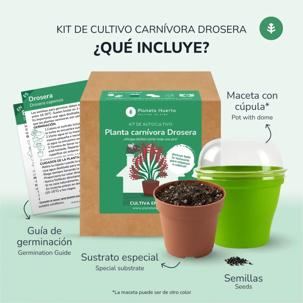 Kit de autocultivo Planta carnívora Drosera Planeta Huerto con 3 Cabezales de Riego