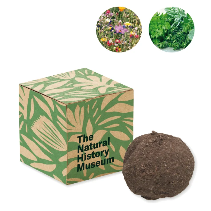 Kit de Cultivo de Bombas de Semilla de Flores Silvestre o Hierbas para Configurar Made Europe Especial Eventos