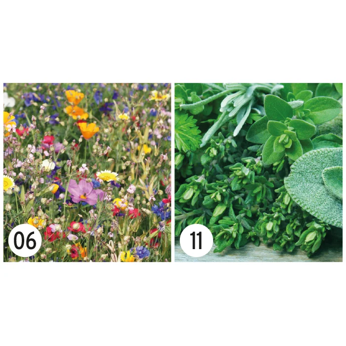 Kit de Cultivo de Bombas de Semilla de Flores Silvestre o Hierbas para Modificar Made Europe Especial Eventos