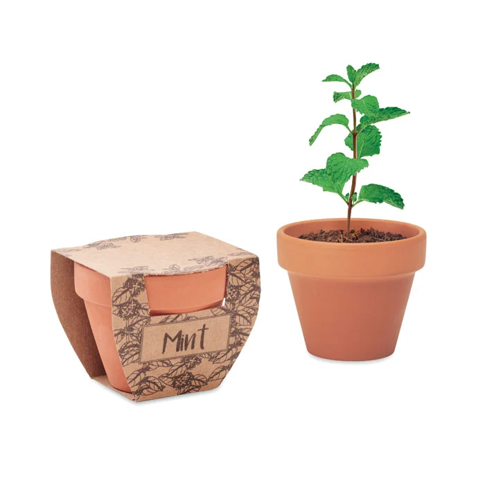 Kit de Cultivo con Maceta Ecológica de Terracota con Semillas de Menta para Adaptar Made Europe Mint Pot