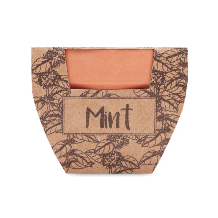 Kit de Cultivo con Maceta Ecológica de Terracota con Semillas de Menta para Adaptar Made Europe Mint Pot