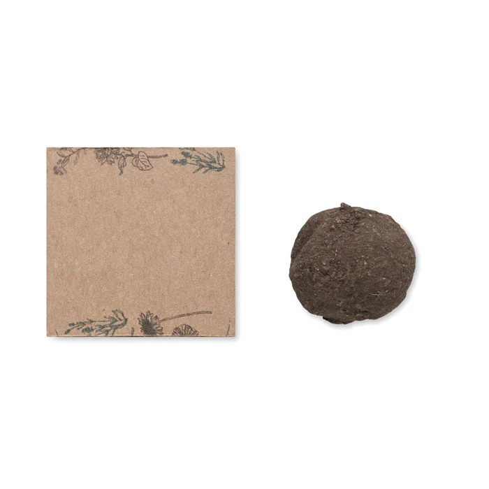 Kit de Cultivo de Semillas de Flores Silvestres en Caja de Cartón para Personalizar Made Europe Particular Eventos y Campa...