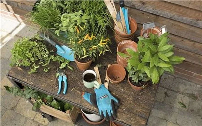Kit Iniciación jardinerí 4 en 1 Gardena con Sensor de Humedad