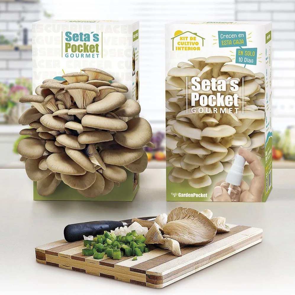 Kit para Plantar Setas Pocket Gourmet en Casa, Óptimo Regalo Garden Pocket