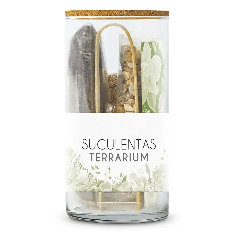 Kit Terrarium para Ensamblar tu jardín de Suculentas, Garden Pocket en Terracota