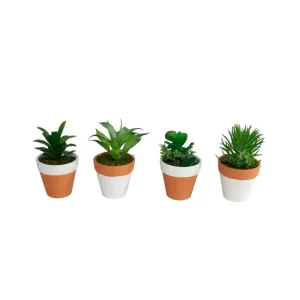 Planta KOTA surtida marca GERIMPORT | Temporizador Programable |