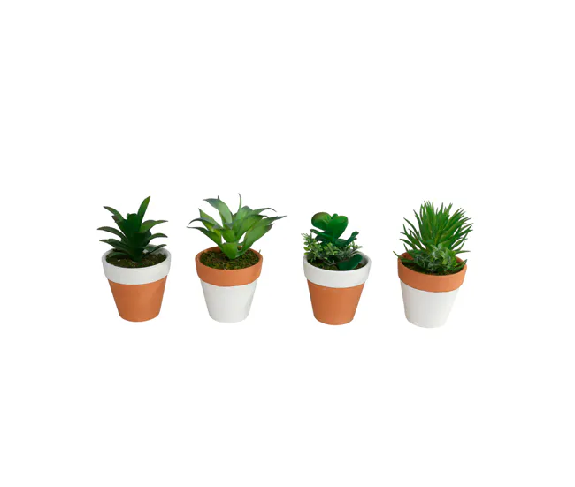 Planta KOTA surtida marca GERIMPORT | Temporizador Programable |