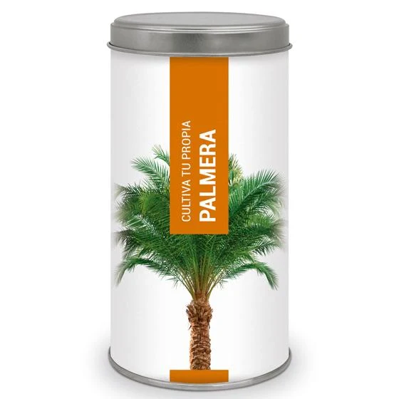 Premium de Jardinerí Cultiva tu propia Palmera Canaria