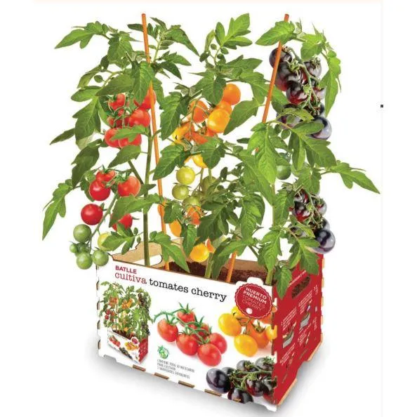 Profesional Hidropónico Huerto Premium Tomates Cerezo Batlle