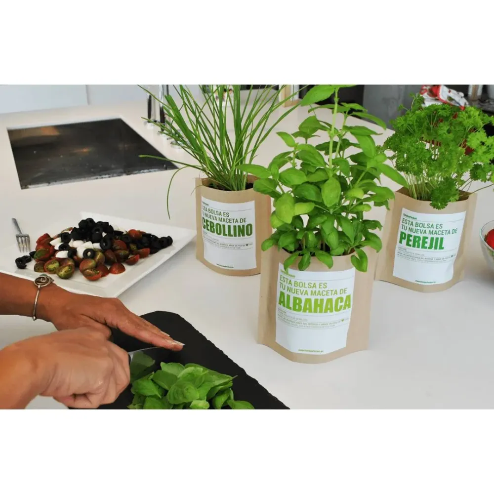Profesional Hidropónico Kit huerto de aromáticas pocket: Lavanda