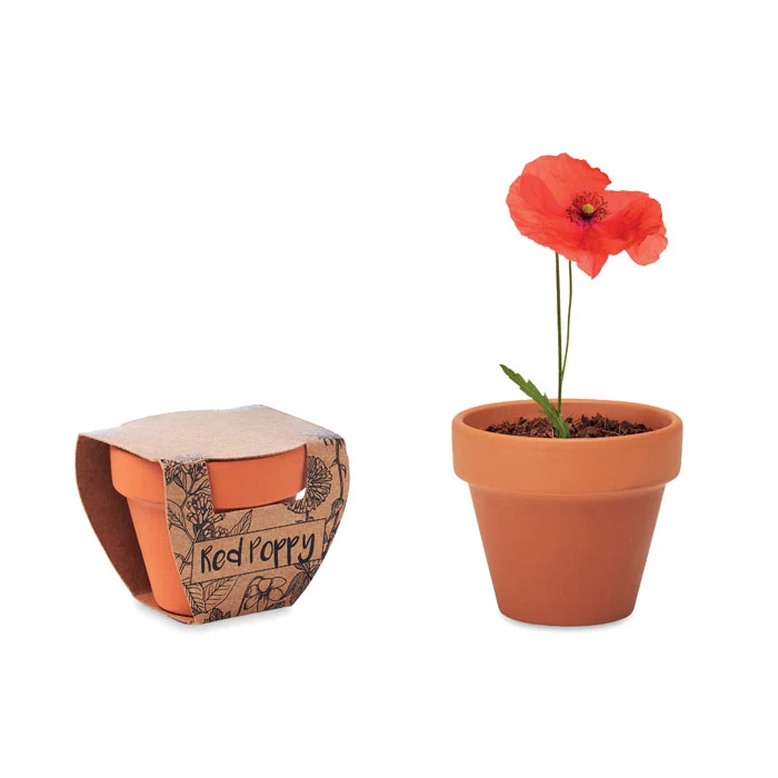 Kit de Cultivo con Maceta Ecológica de Terracota y Semillas de Flor de Amapola para Personalizar Made Europe Particular Ca...