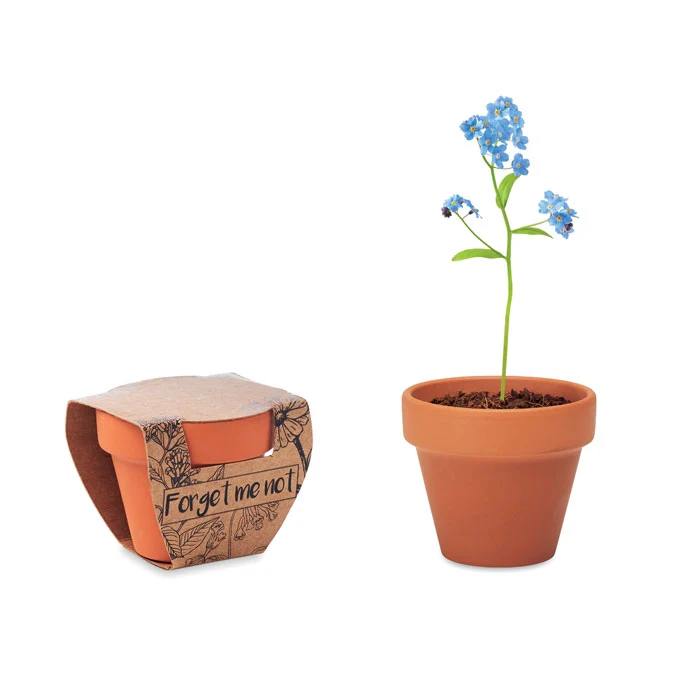 Maceta de Autorriego con Reserva Kit de Cultivo con Maceta Ecológica de Terracota y Semillas de Flor de "No me Olvides" pa...