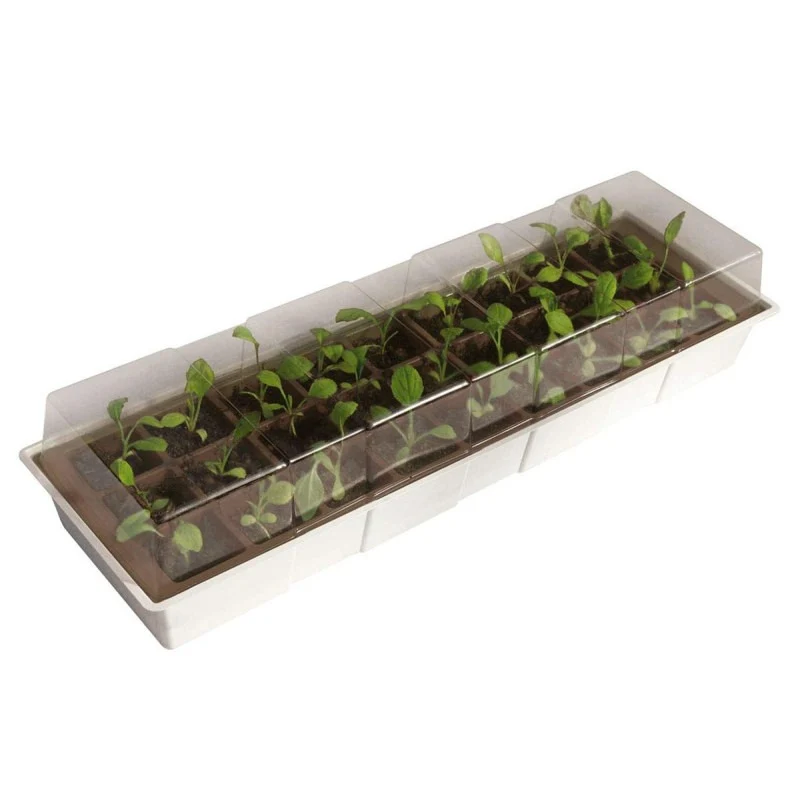 Pequeño invernadero repisa ventana Kit Windows Nortene 49x15,5 cm
