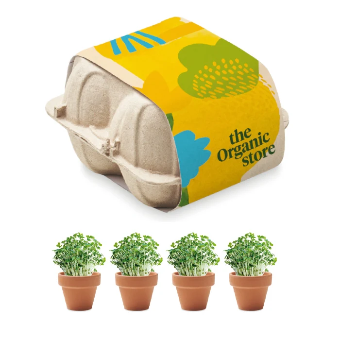 Set de 4 Macetas de Terracota Presentados en una Huevera de Cartón para Configurar Made Europe en Color Terracota