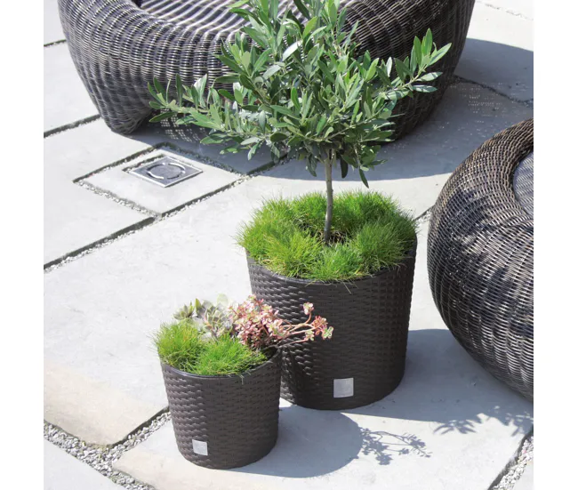 Sistema de Jardín Vertical Modular Maceta Redonda 4,7 Litros Rato Con Cubilete Para Plantar En Color Blanco 20 X 20 X 19 Cm