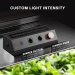 Kit De Cultivo | Spider Farmer - SF-1000, Armario De Cultivo, Ventilación Y Medidores con Garantí del Fabricante