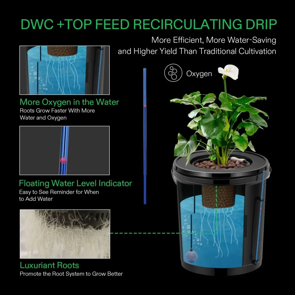 Kit Hidropónico DWC POT 5 galones - Vivosun para Cultivo de Lechugas