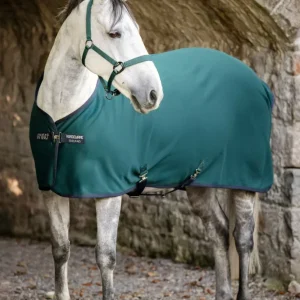Amigo manta de secado jersey Dynasty Green/Navy/Silver 125 con Bomba de 2000L/H