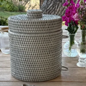 Comedero para Peces Balde para gelo de rattan com tampa e pinç cinza
