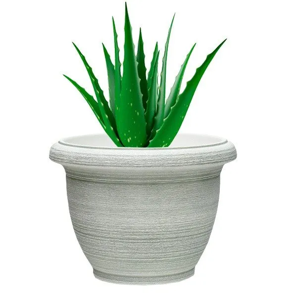 Comedero para Peces Macetero Little Garden Deco Painting 33 x 25 cm blanco