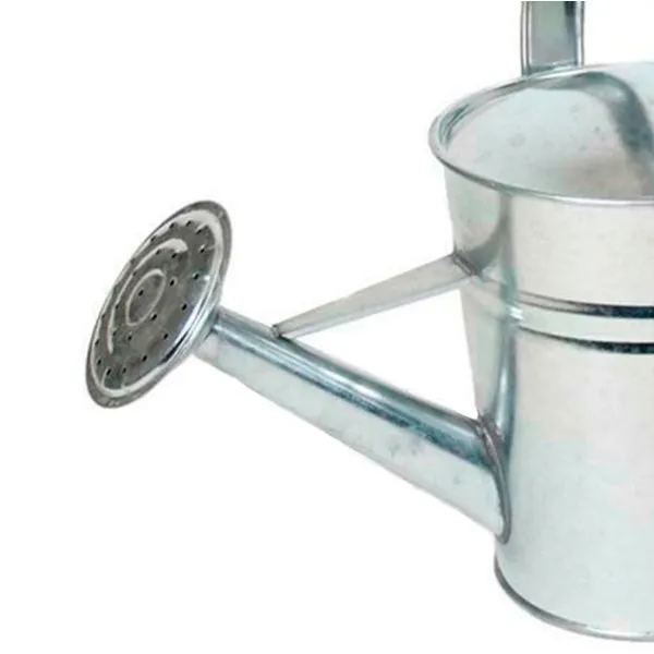 Conector Rápido Regadera Zincada Edirne 2.3 Litros