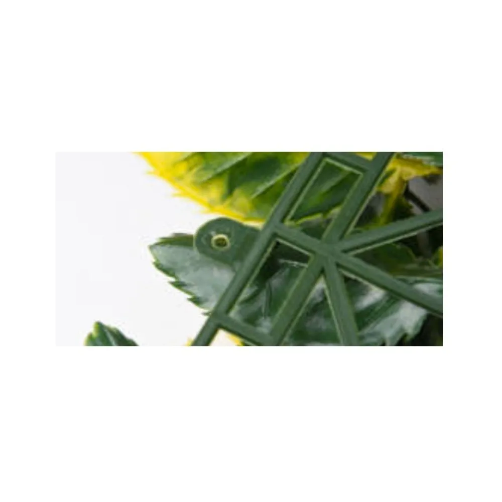 Letrero para Plantas Jardín vertical decoración tropical - 100x100 cm