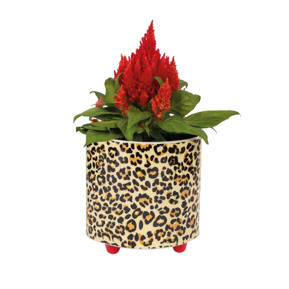 Macetero “Leopardo” | Personalizable | Hecho Mano