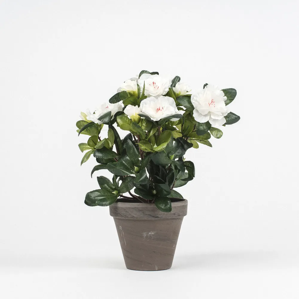 Maceta azalea blanca artificial 27cm para Plantas de Interior