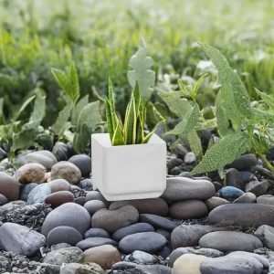 Maceta Milan Blanca Cubo 20x20cm Terra Verde (Set de 3)