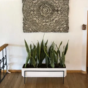 Plato de Drenaje Profundo Maceta Jardinera Praga + Soporte Blanca Rectangular 60x20cm Terra Verde