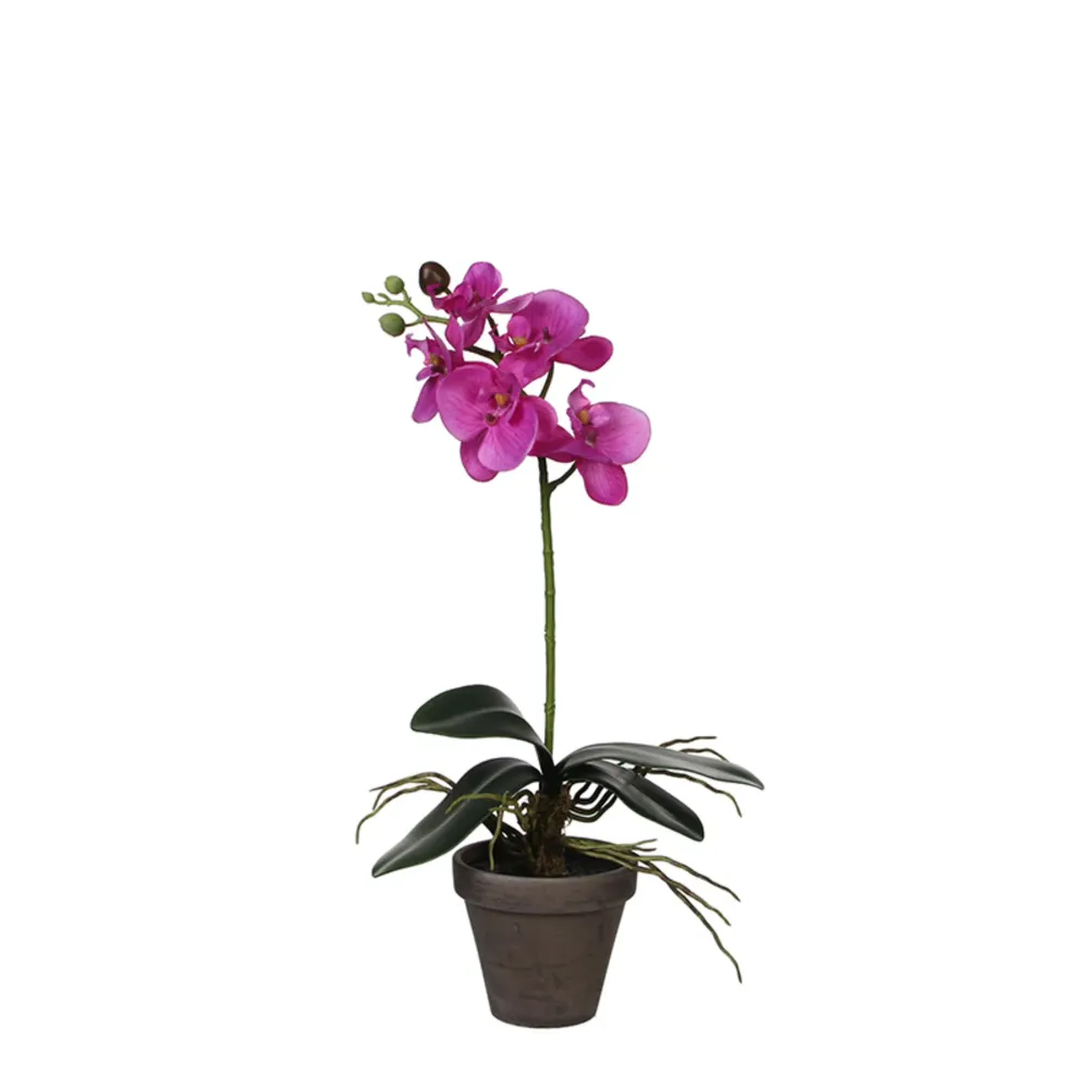 Profesional para Exteriores Maceta orquídea artificial púrpura - 48x13cm