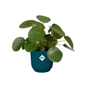 Jardineras de Balcón Colgantes Macetero vibes fold round deep azul Elho 18 cm