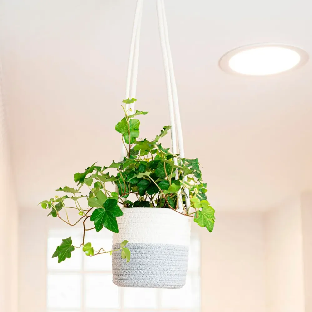 Jardineras de Terracota Esmaltada Macetero colgante MOA Vinthera diseño bicolor blanco/gris Ø14x13 cm