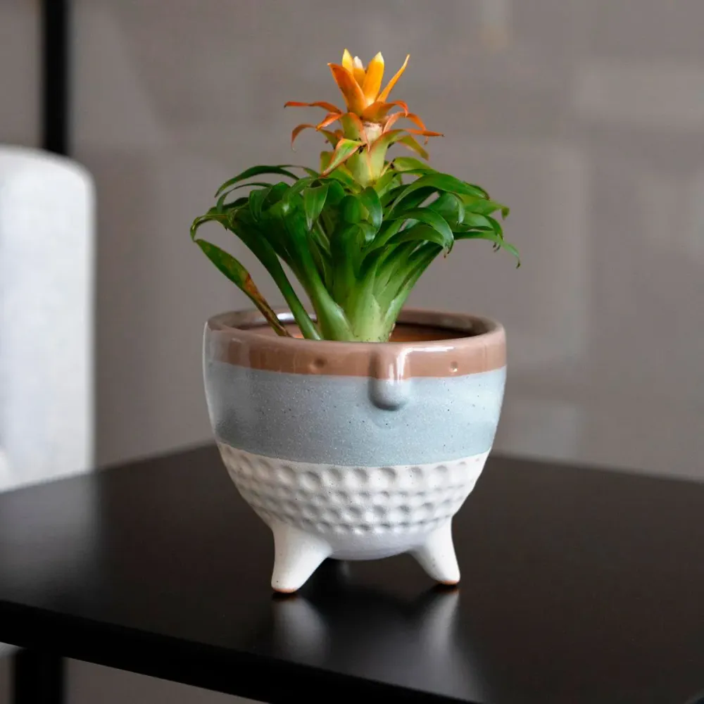 Jardineras de Terracota Esmaltada Macetero MOA Vinthera diseño tricolor ø13x11 cm