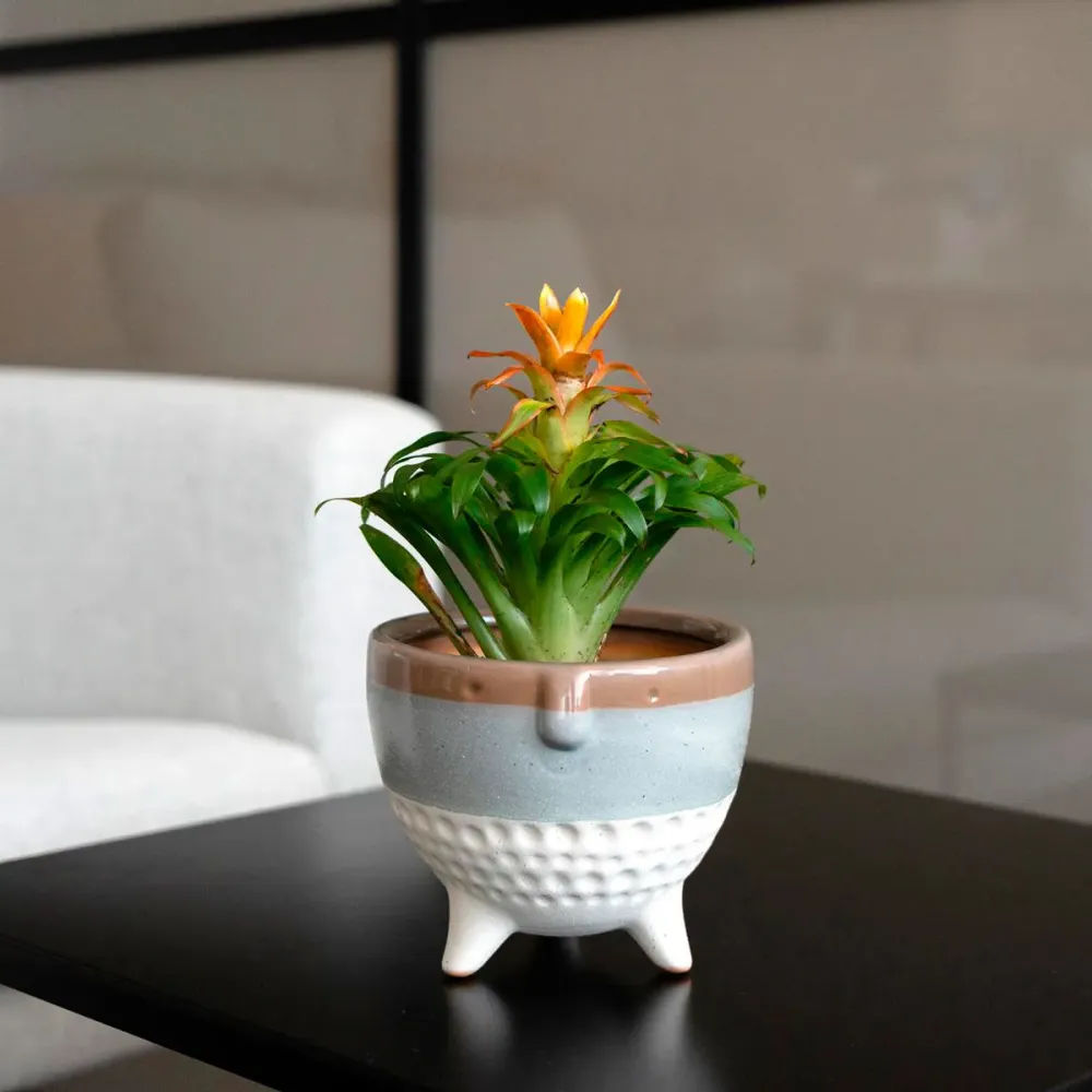Jardineras de Terracota Esmaltada Macetero MOA Vinthera diseño tricolor ø13x11 cm