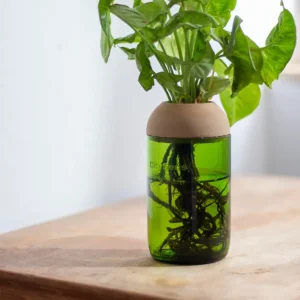 Jardineras de Terracota Esmaltada Macetero Transparente Citysens Con Soporte De Pino – Verde, Vidrio Reutilizado Y Biofila...