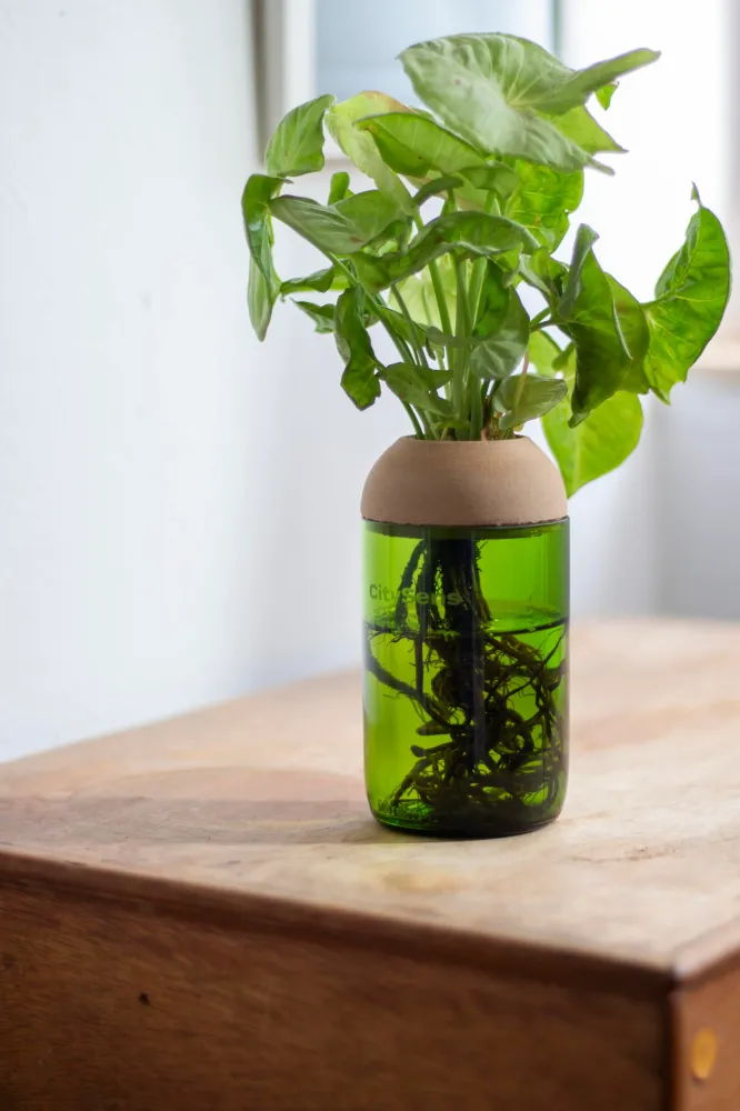 Jardineras de Terracota Esmaltada Macetero Transparente Citysens Con Soporte De Pino – Verde, Vidrio Reutilizado Y Biofila...